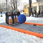 зимние аттракционы, боулинг пингвины, пингвины, боулинг зимний